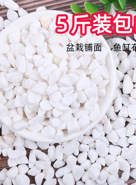 白色石头鹅卵石雨花石小白石子多肉铺面盆栽装饰庭院造景用石