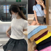 纯棉圆领基础款 清仓不退换 horse刺绣标麻花针织短袖 绞花女上衣