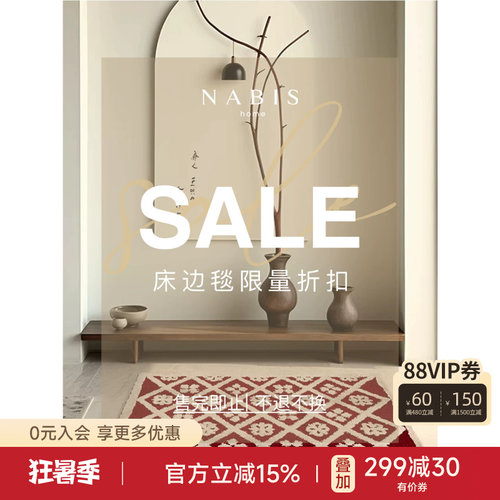 客厅卧室地毯精致百搭入户地垫