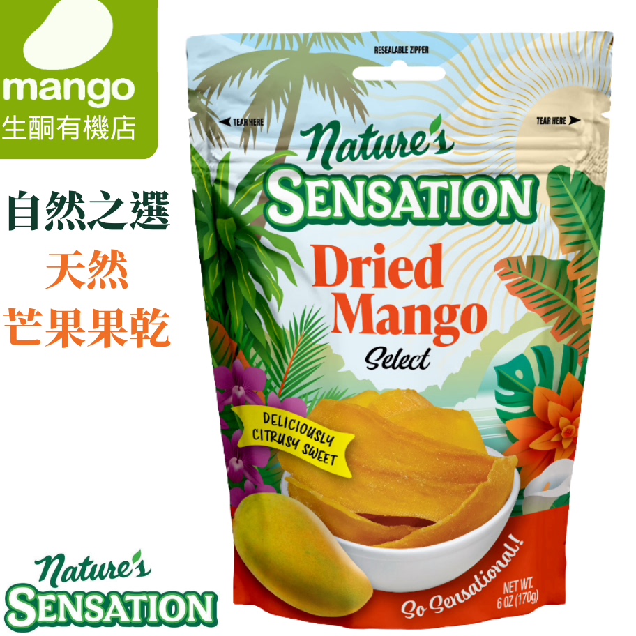 Nature's Sensation进口美国天然之选芒果干170g办公休闲零食干货
