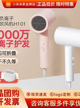 小米米家便携吹风机H101