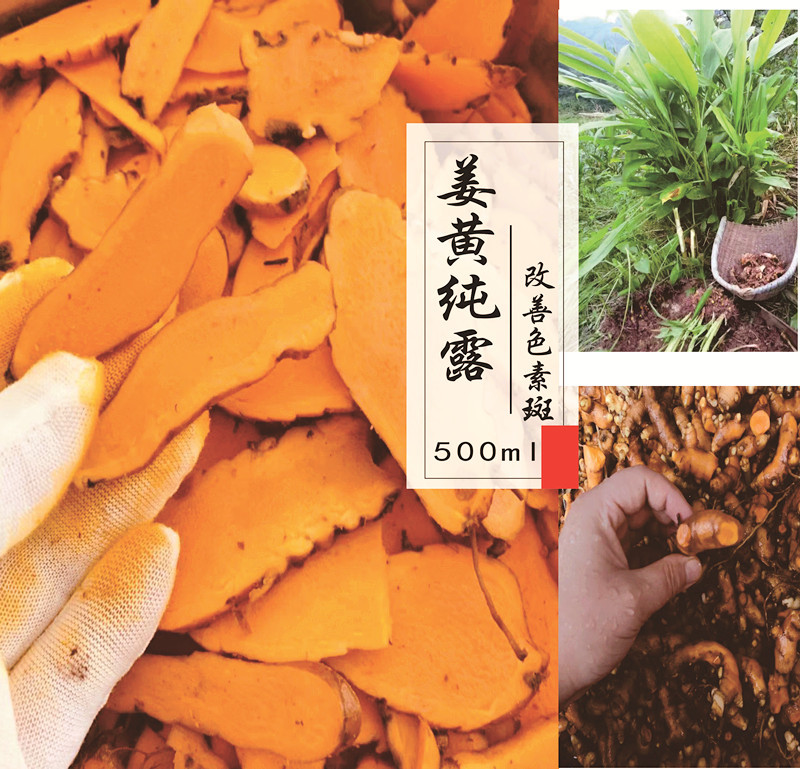 姜黄500ml提高色素暗沉老化纯露