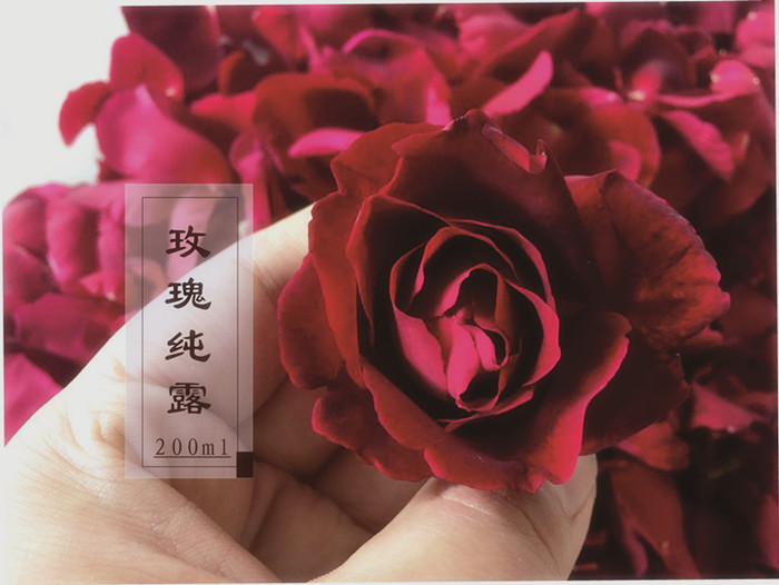 云南食用红玫瑰鲜花29元爽肤水