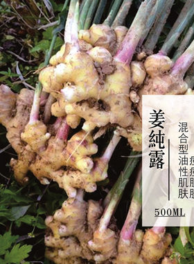 云南小黄姜生姜纯露豆印淡寒暖－