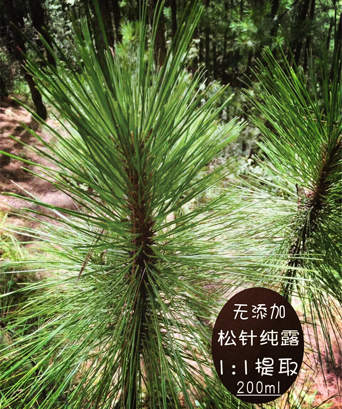 ËÉÕ봿¶ 250ML ¾»»¯Ã«¿× ƽºâ²¹Ë® ¿ØÓÍìî¶»£¨Âú29Ôª°üÓÊ