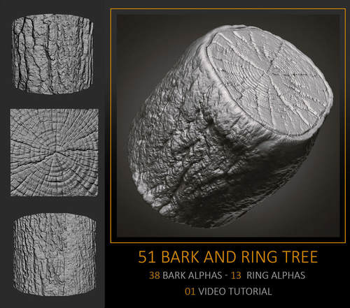 51树皮和树年轮纹理笔刷alpha素材 游戏美术雕刻ZB zbrush素材
