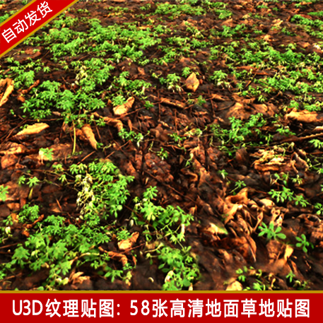 unity3d写实落叶植被地面草地纹理贴图Ground Textures素材资源包