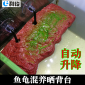 爬宠宠物龟晒背台假山晒台鱼缸水龟爬坡乌龟浮岛升降大号浮台爬台