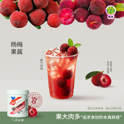 帮吉岚鸢杨梅果酱1.2kg霸气杨梅美式冰奶烘焙面包咖啡奶茶店商用