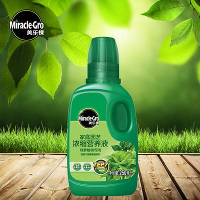 美乐棵绿萝专用营养液植物盆栽通用型复合花肥家庭园艺液体肥料 虎窝淘