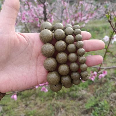 揉肝醒目舒肝清火合香珠手串疏肝解郁清肝明目古法非遗道家手链