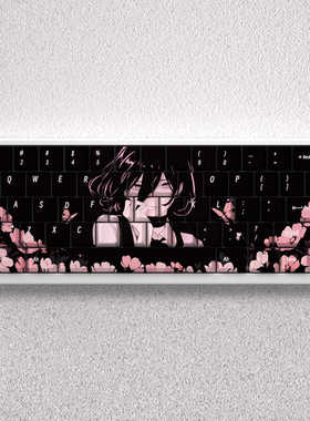 蕾塞键帽PBT原厂高度适配美加狮mad60迈从Ace68魔导士磁轴ATK68