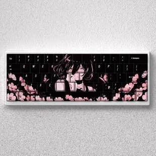 蕾塞键帽PBT原厂高度适配美加狮mad60迈从Ace68魔导士磁轴ATK68