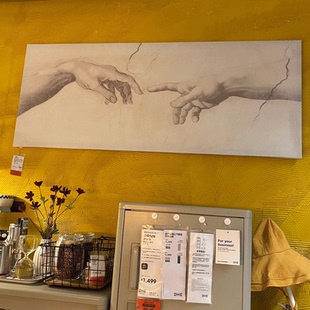 IKEA宜家 家居装饰画 图片，带画框, 触/黑色140x56厘米 约纳斯塔