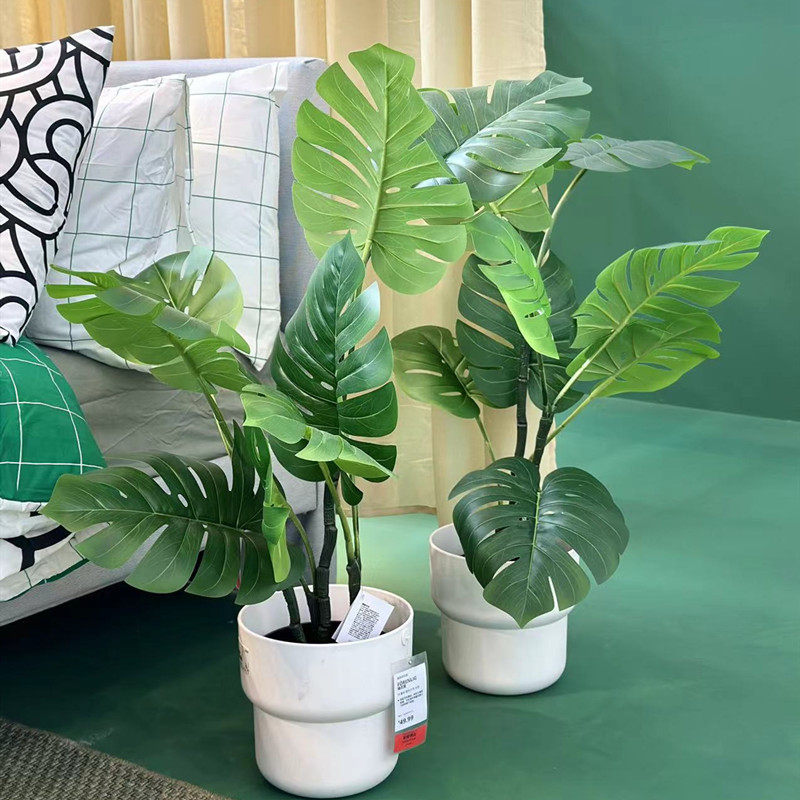 IKEA宜家国内代购菲卡人造盆栽植物龟背竹家居装饰绿植多款假树,家居饰品,仿真植物盆景,淘宝优惠券,粉丝福利购,淘宝优惠卷