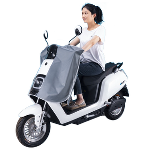 龙头电动电瓶摩托车车头中控仪表盘防雨罩车把防水挡雨遮雨显示屏