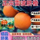 雷波脐橙四川大凉山特级中大橙子新鲜水果10斤20斤礼盒装 正宗