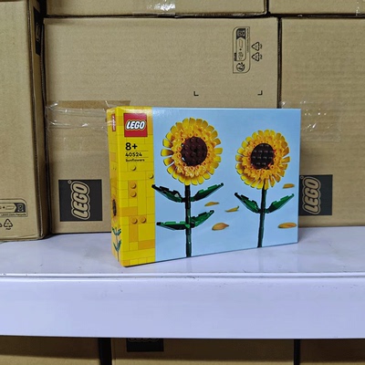 乐高40524正品玩具礼物