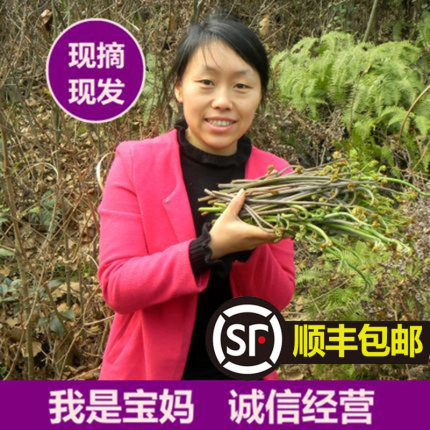 顺丰包邮湖南株洲野生蕨菜新鲜蔬菜山野菜现摘厥菜撅菜阙菜3/5斤