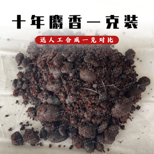 非人工合成麝香中药材正宗 十年麝香粉 麝香仁当门子中药材一克g