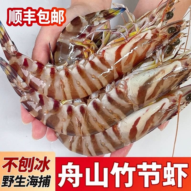 【顺丰送货】舟山野生竹节虾鲜活冷冻大虾海捕特大九节虾斑节虾