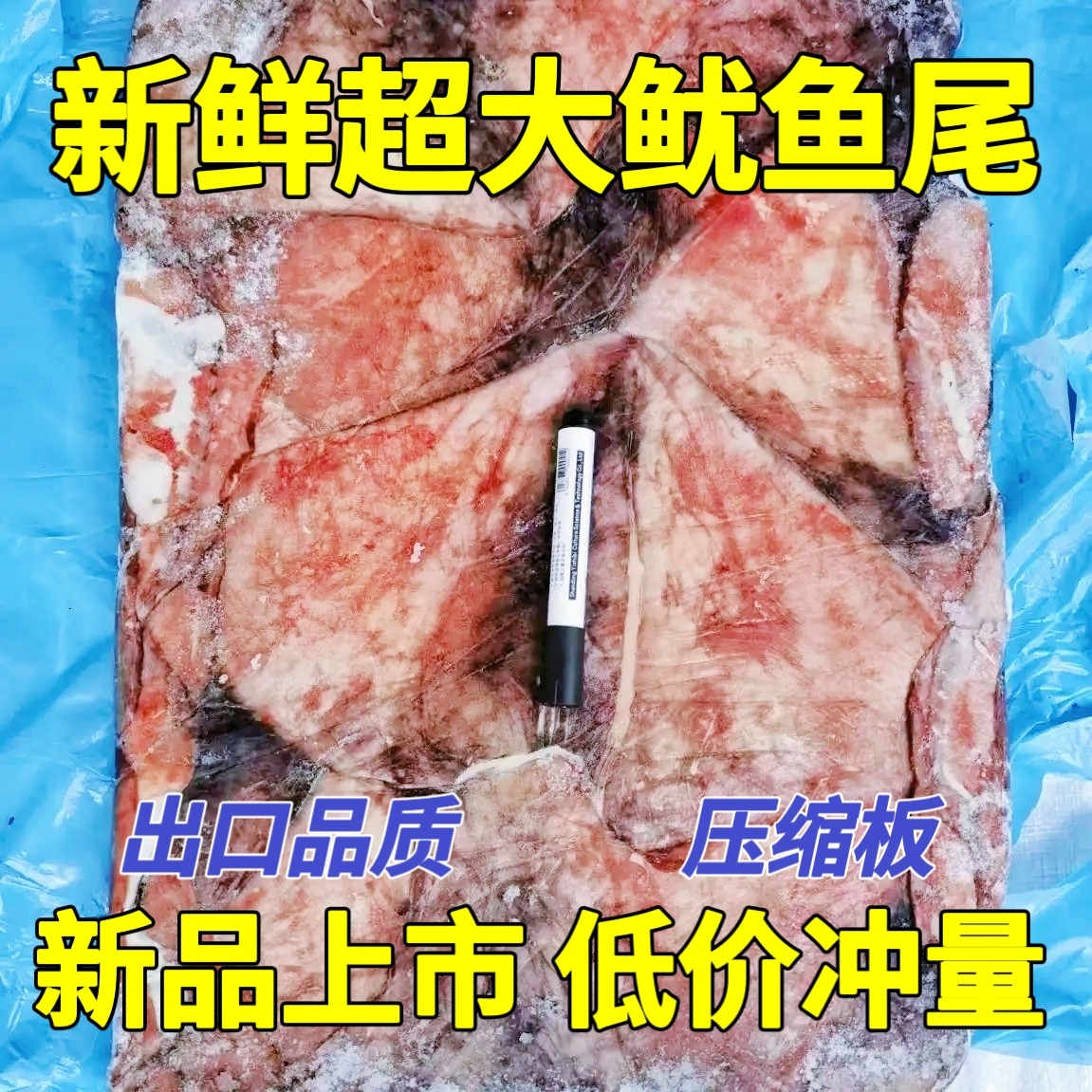 新鲜超大鱿鱼尾商用鱿鱼耳鱿鱼翅鱿鱼片鲜活分割冷冻出口品质足斤