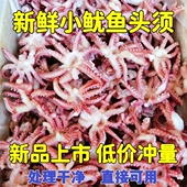 小鱿鱼须新鲜冷冻小八爪须三去鱿鱼头净重无冰衣烧烤炒菜火锅食材