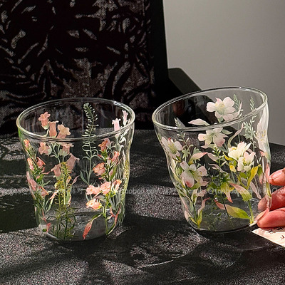 玻璃喝水杯子夏日高颜值ins家用