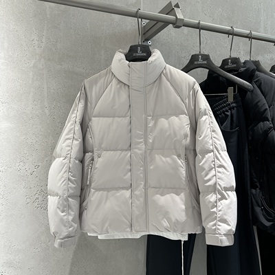 立领加厚羽绒服男夹克型日常外套