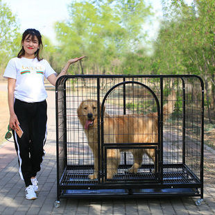 哥家用狗笼中大型犬金毛拉布拉多等室内室外宠物狗狗笼子 新疆 包邮