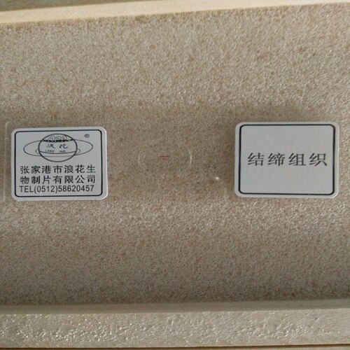 结缔组织装片生物切片张家港浪花生物教学实验仪器器材