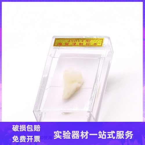 教学仪器标本生物标本