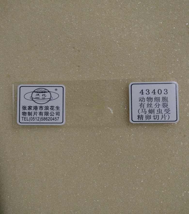 动物细胞有丝分裂（马蛔虫受精卵切片)生物装片浪花牌
