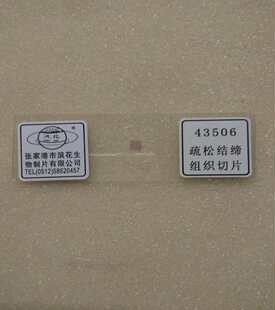 43506疏松结缔组织装片生物切片张家港浪花生物教学实验仪器器材