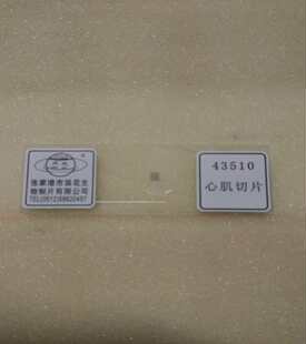 3510心肌切片生物切片生物实验用切片浪花牌生物耗材教学仪器