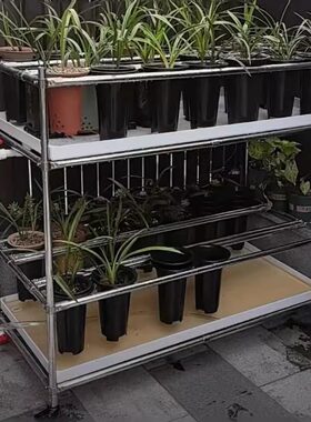 加厚可调节202不锈钢兰花架整体托水盘抗老化花架可移动可定做