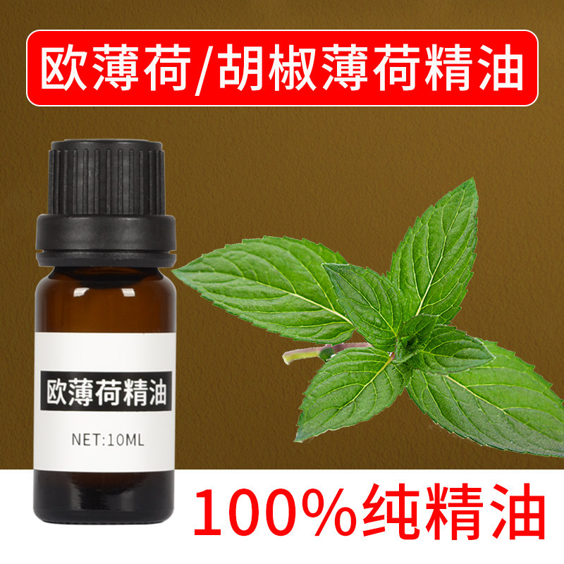 欧薄荷胡椒薄荷单方精油 清凉提神醒脑 控油清洁毛孔改善黑头10ML