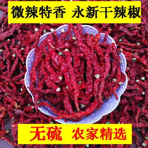 江西干辣椒永新特产自种特香无硫