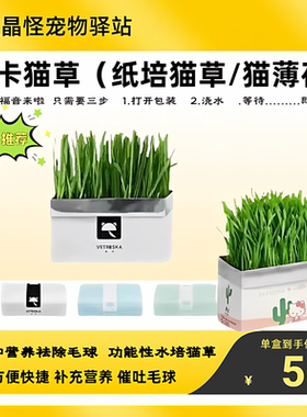 未卡猫草猫薄荷去毛球天然种植