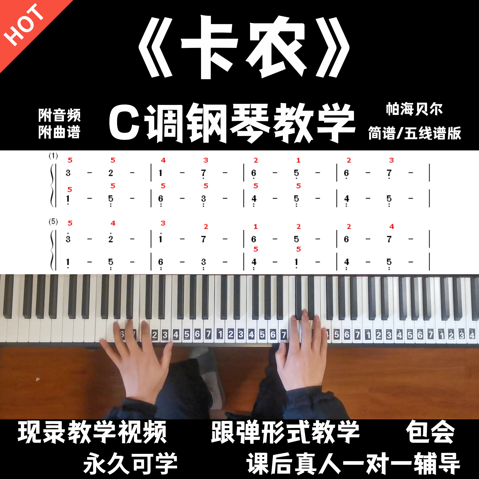 《卡农》零基础钢琴教学 全程讲解 小白轻松学初学包学会无限回放