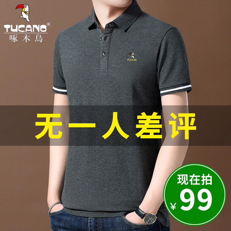 啄木鸟夏季丝光棉男士短袖t恤中青年帅气翻领半袖polo衫体恤上衣