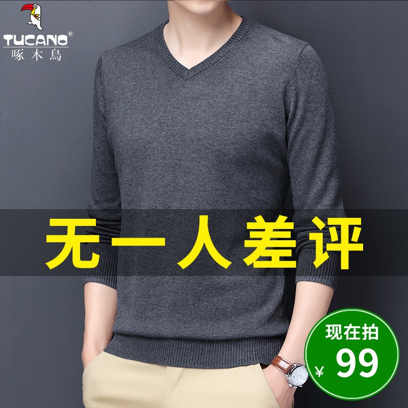 啄木鸟纯棉毛衣男宽松休闲长袖针织打底衫秋季男士v领套头毛衫潮
