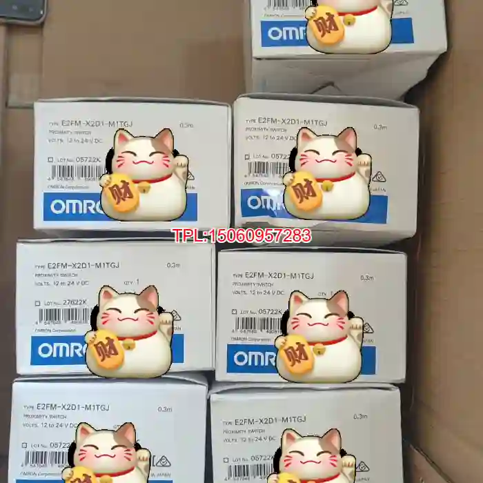 【议价】OMRON欧姆龙E2FM-X5D1-M1TGJ260
