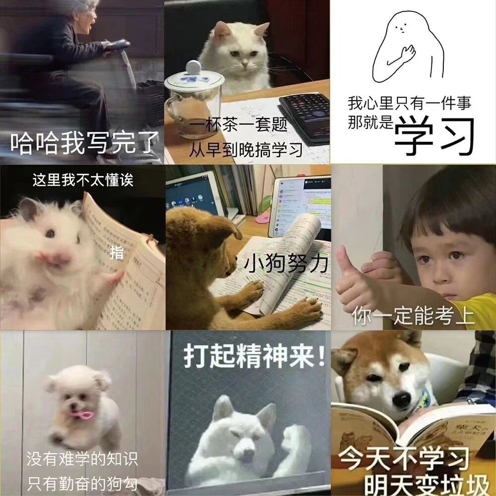 60张我爱学习表情包励志贴纸搞笑高考学霸笔记本手机装饰同款