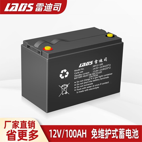 雷迪司UPS蓄电池12V100AH