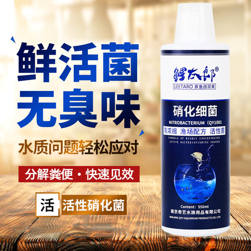 硝化细菌水族鱼缸用液净水剂活性