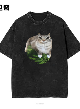 西瓜猫Silly Cat Meme T-Shirt傻猫表情包T恤滑稽西瓜短袖上衣服