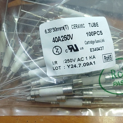 6*30mm陶瓷保险丝管T40A/250V 熔断器250VAC 带引线
