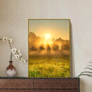 日出东方装饰画客厅风景森林餐厅太阳旭日东升治愈系办公室挂画