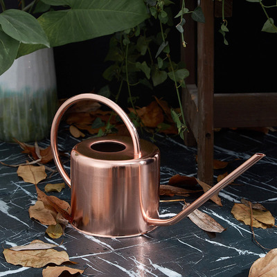 长嘴浇花壶Long Spout Watering Can Garden Spraying Pot